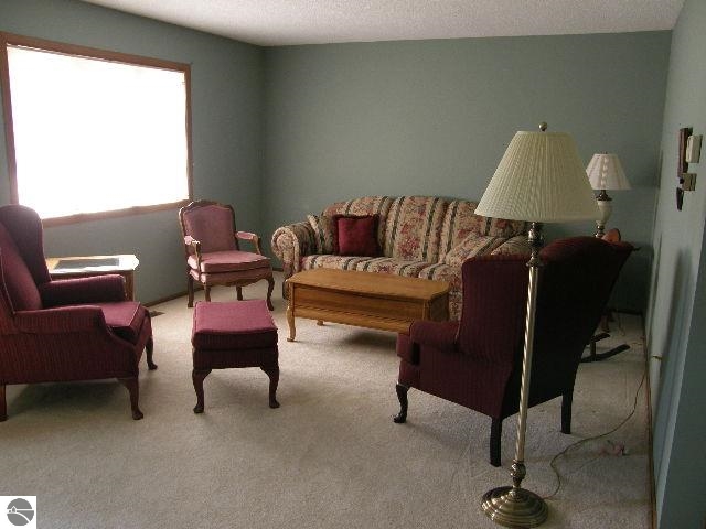 6681 North Winans Road Alma, MI 48801 - Photo 11 of 27 1783559-10.JPG