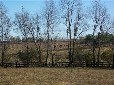 451 Cane Ridge Road Paris, KY 40361 - Photo 5 of 9 Listing Photo
