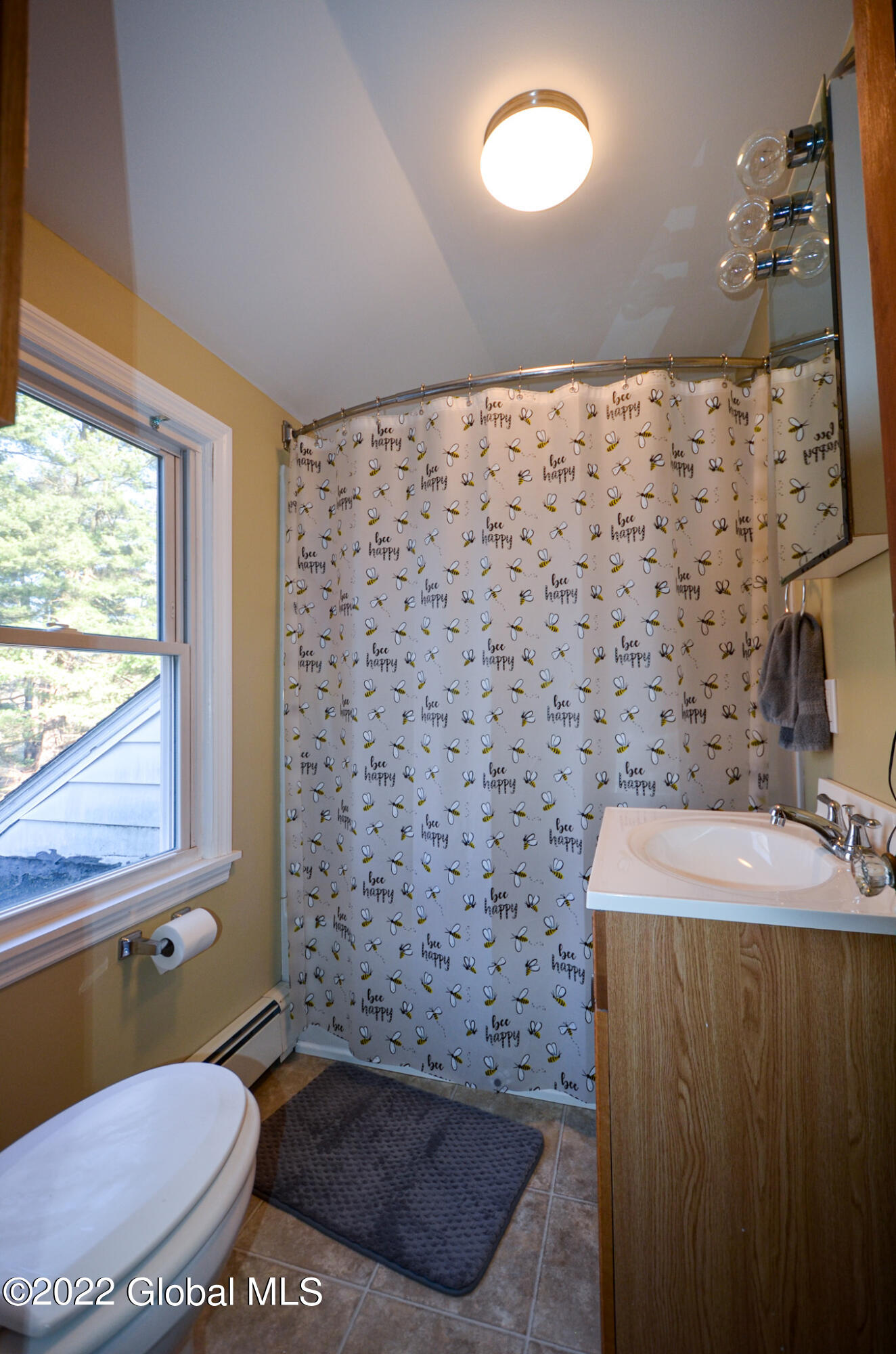 239 Whiteview Road Wynantskill, NY 12198 - Photo 43 of 63 DSC_0314