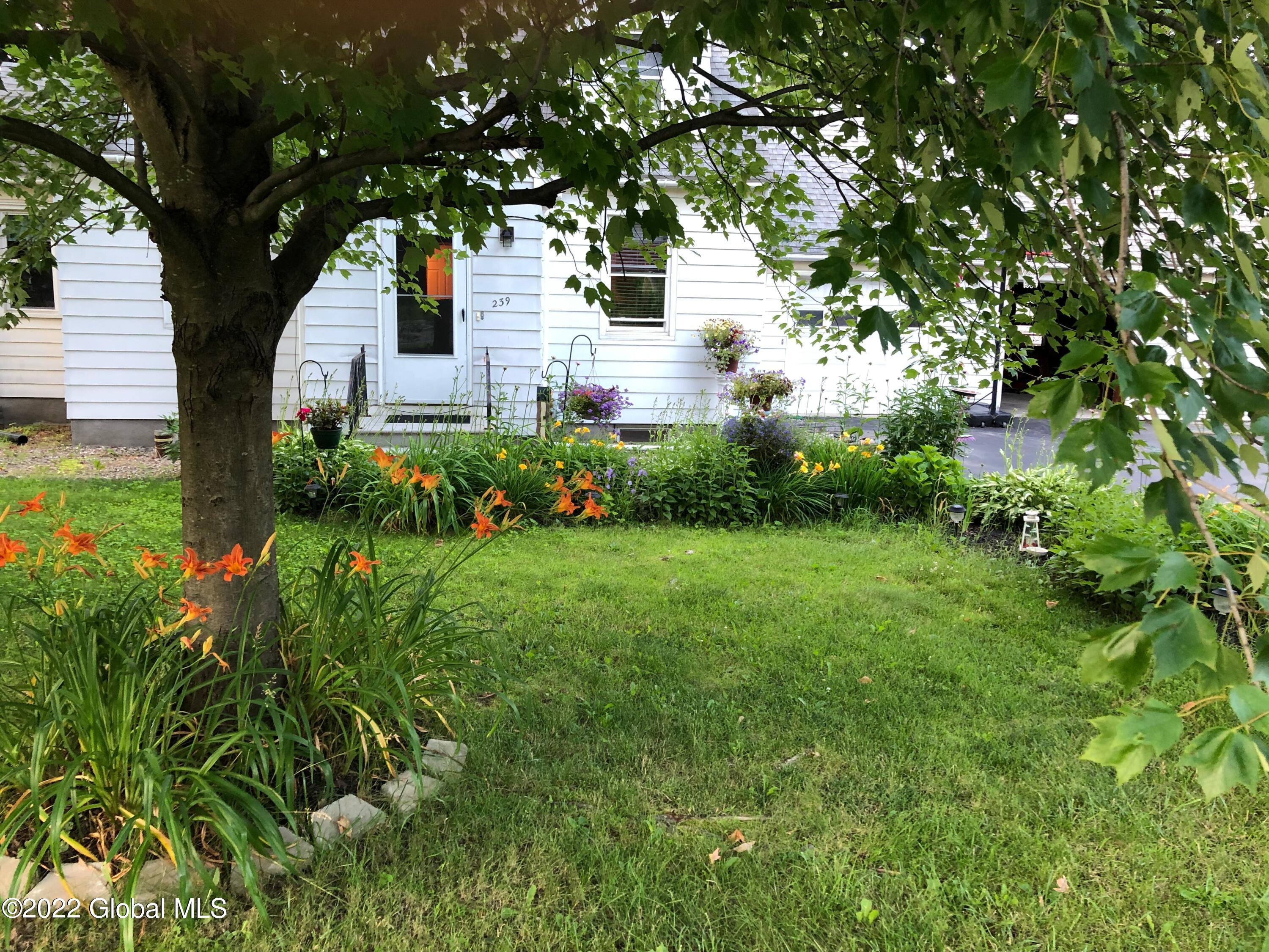 239 Whiteview Road Wynantskill, NY 12198 - Photo 56 of 63 IMG-3907