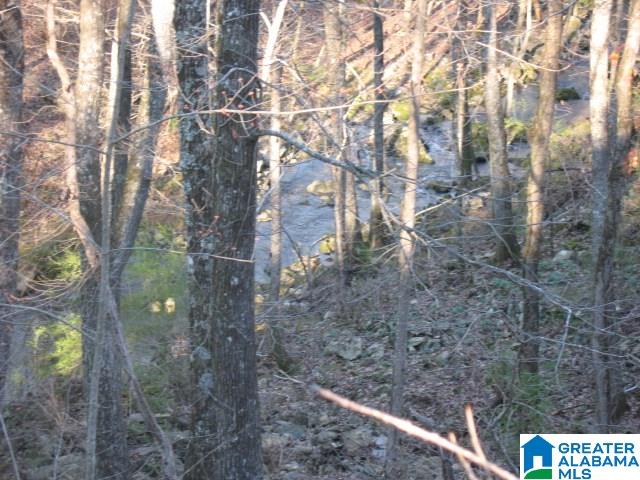 0 Brothers Road, Unit 1 Steele, AL 35987 - Photo 13 of 14