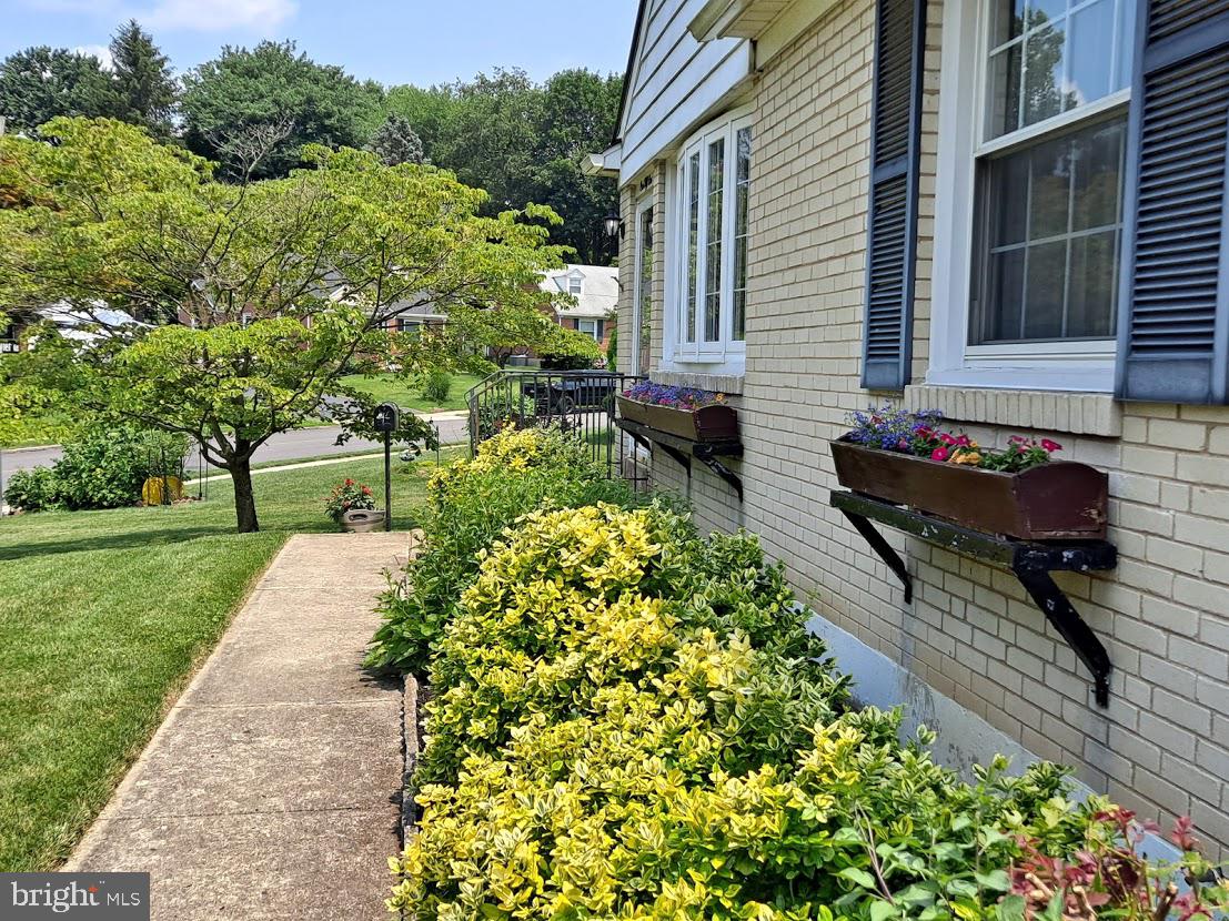 151 Schuyler Road Springfield, PA 19064 - Photo 4 of 33 Flower Boxes