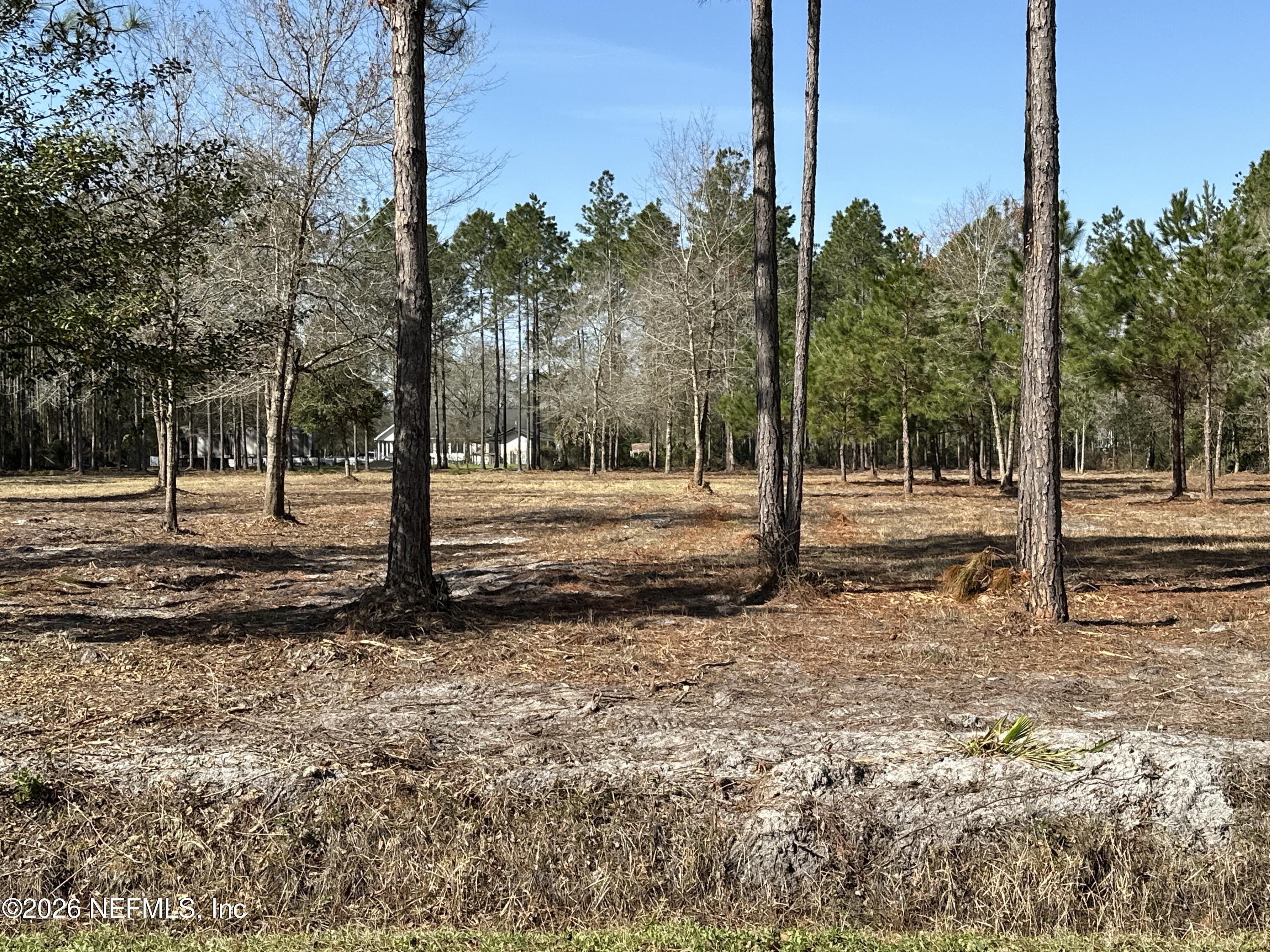 0 Sheared Stokes Road Hilliard, FL 32046 - Photo 4 of 10 DJI_20250214_104733_735
