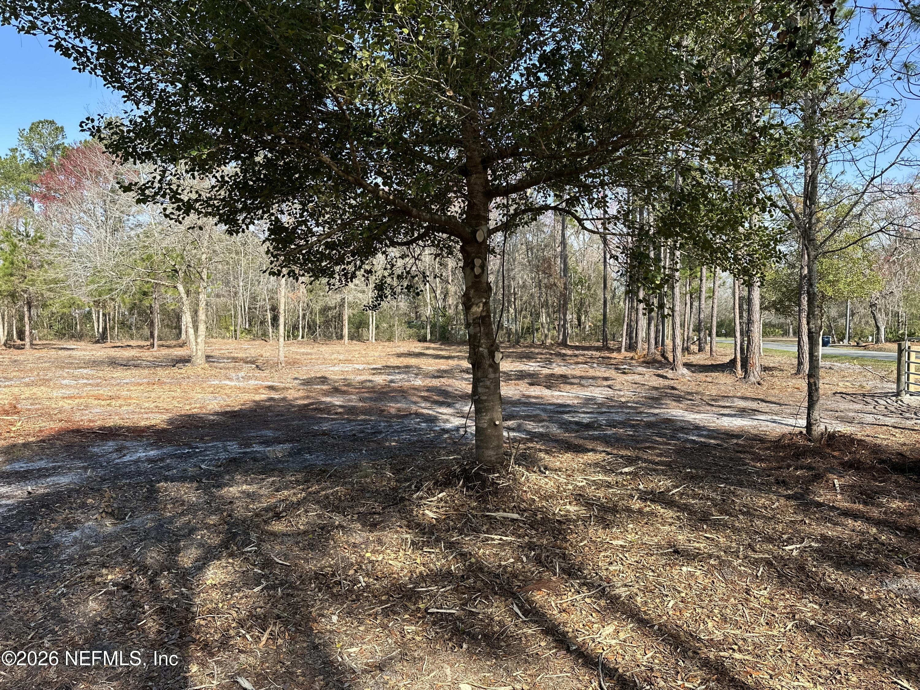 0 Sheared Stokes Road Hilliard, FL 32046 - Photo 6 of 10 DJI_20250214_104821_079