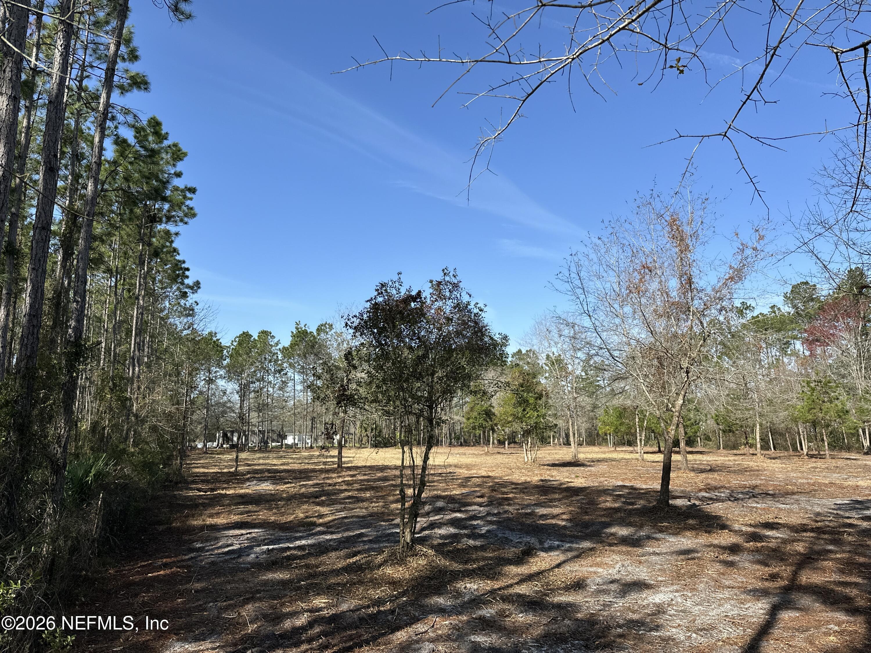 0 Sheared Stokes Road Hilliard, FL 32046 - Photo 9 of 10 DJI_20250214_104905_719