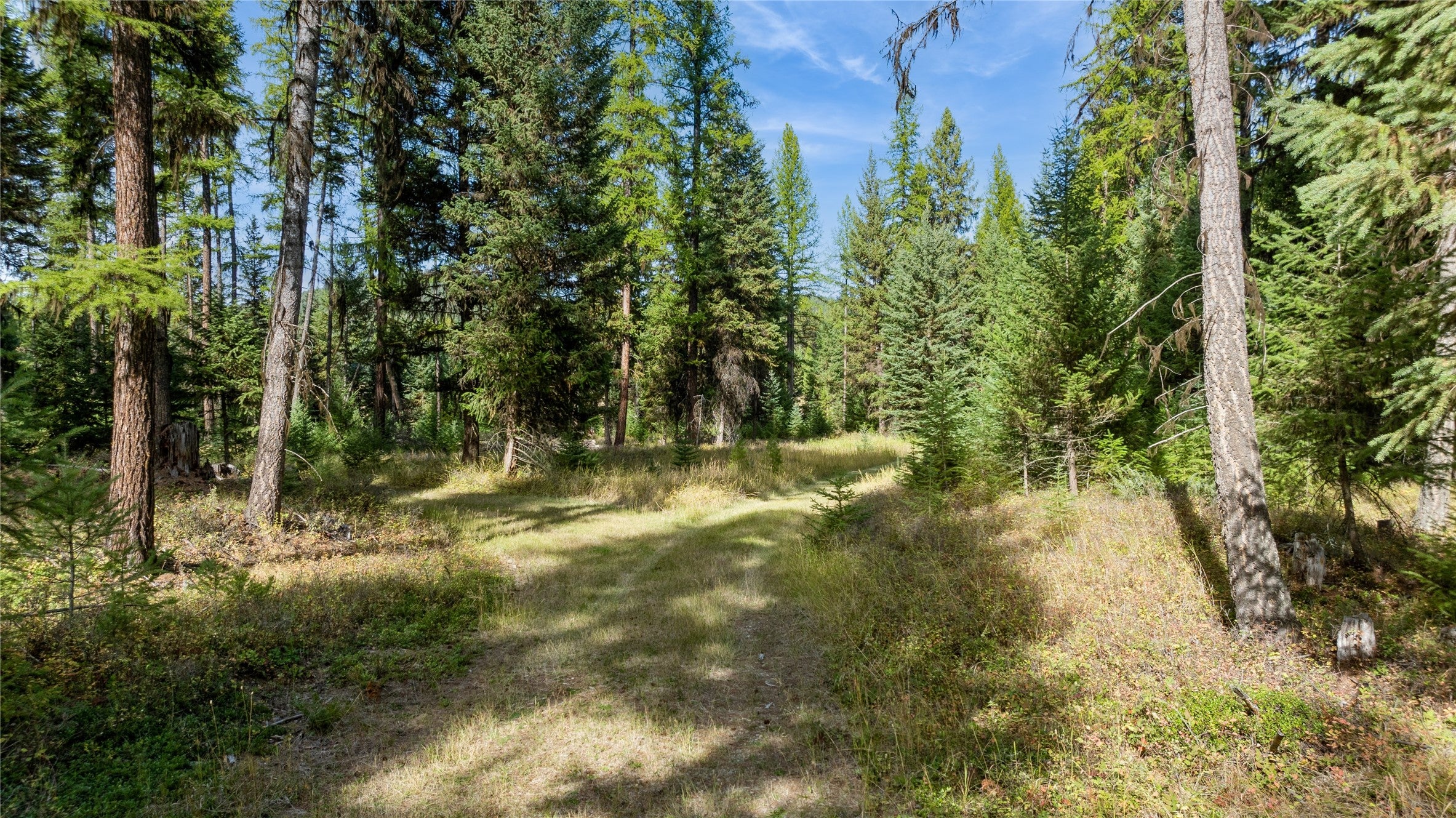 3217 Loon Lake Road Trego, MT 59934 - Photo 34 of 39 Gallery Image 34