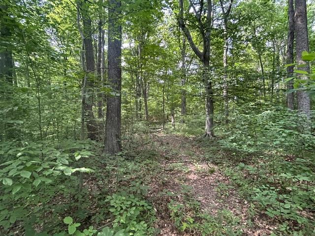 24229 Sanes Creek Road Laurel, IN 47024 - Photo 40 of 54