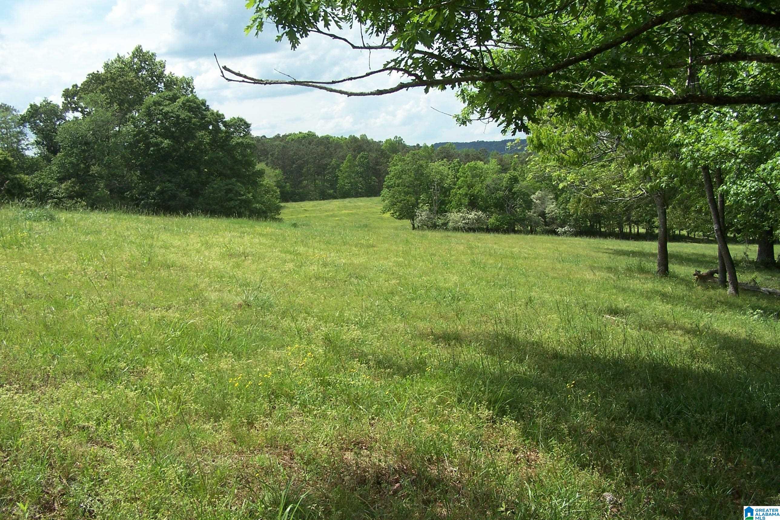 Burton Loop Road Altoona, AL 35952 - Photo 1 of 29 Gallery Image 1