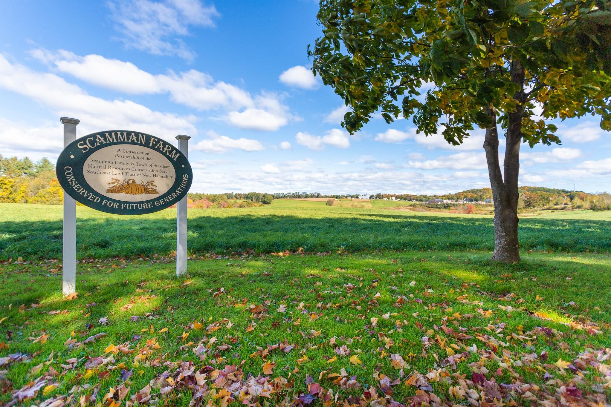 58 River Road Stratham, NH 03885 - Photo 18 of 26