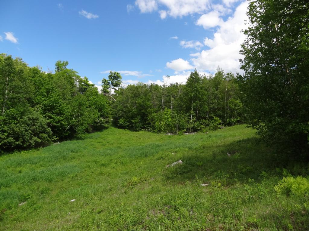 1404 Andover Ridge Road Andover, VT 05143 - Photo 20 of 25