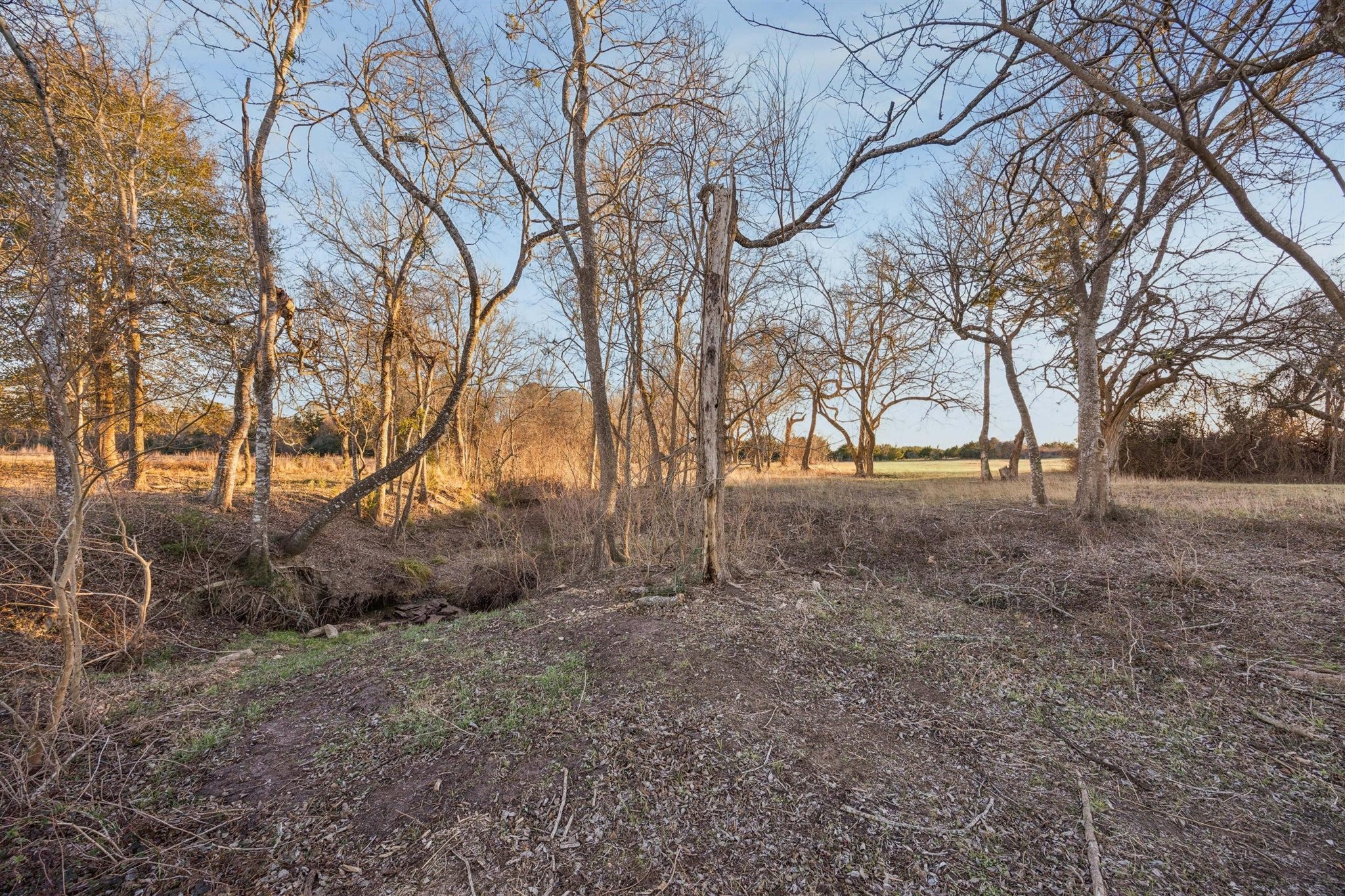 6389 Miller Road New Ulm, TX 78950 - Photo 38 of 49 a view of outdoor space and trees