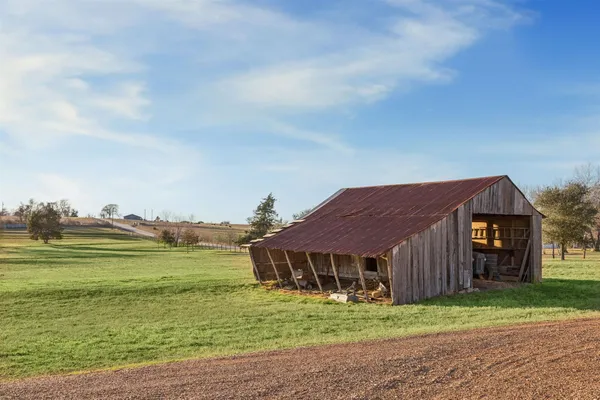 a view of a park with large trees