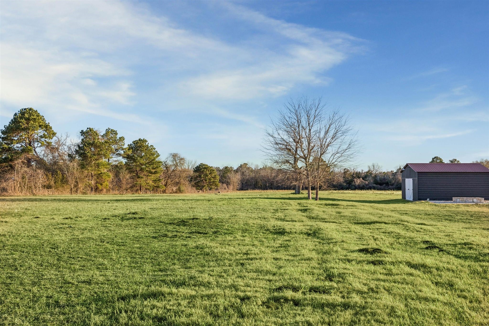 6389 Miller Road New Ulm, TX 78950 - Photo 46 of 49 a big yard with lots of tress in it