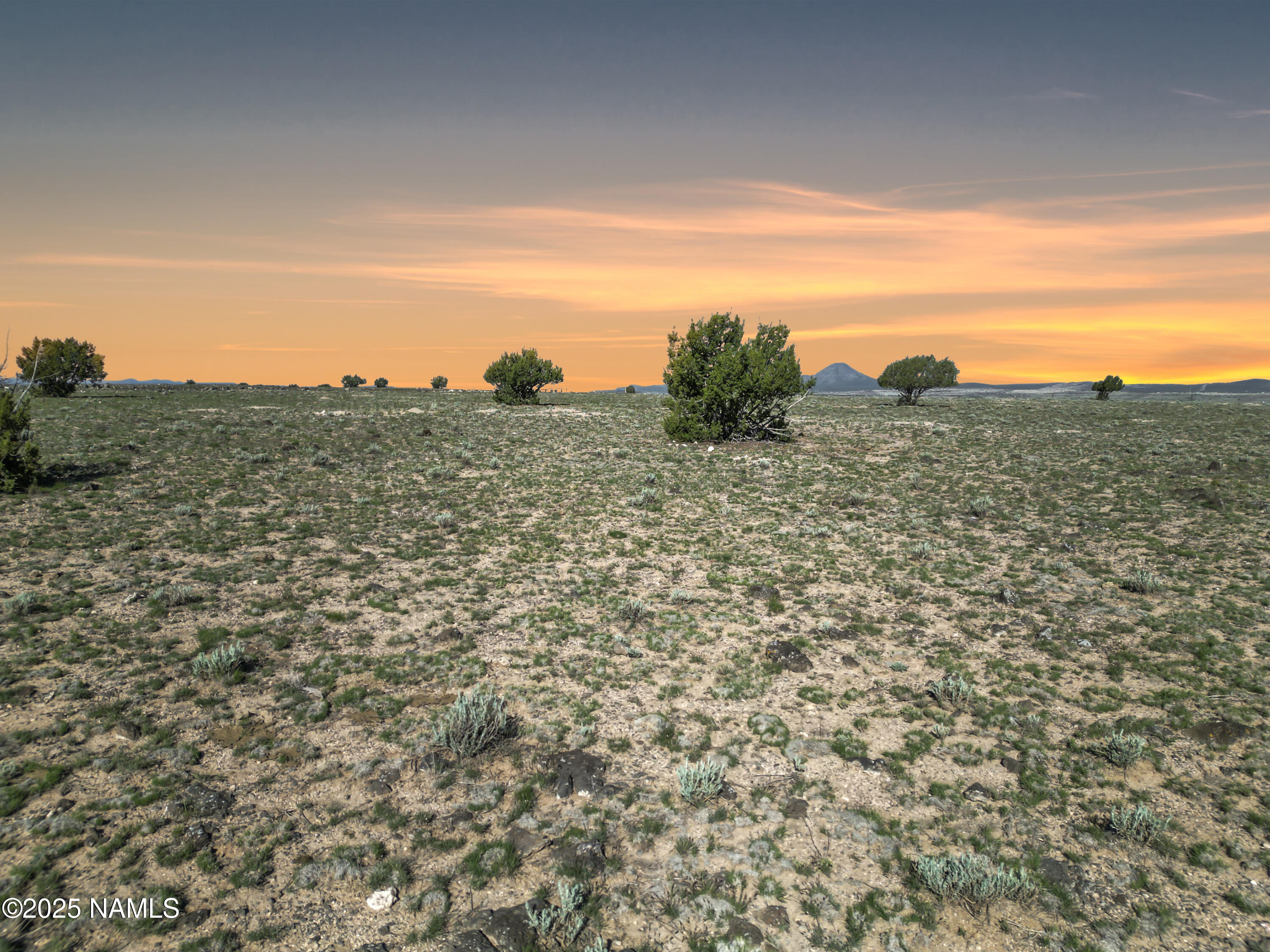 66 & Arizona Road Ash Fork, AZ 86320 - Photo 8 of 8 a view of a yard with an outdoor space
