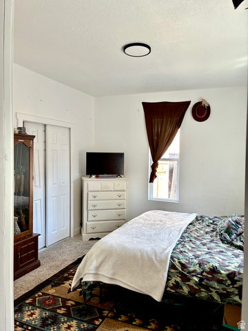 175 Eagle Street Eureka, UT 84628 - Photo 13 of 31 Bedroom with carpet, a textured ceiling, and a closet