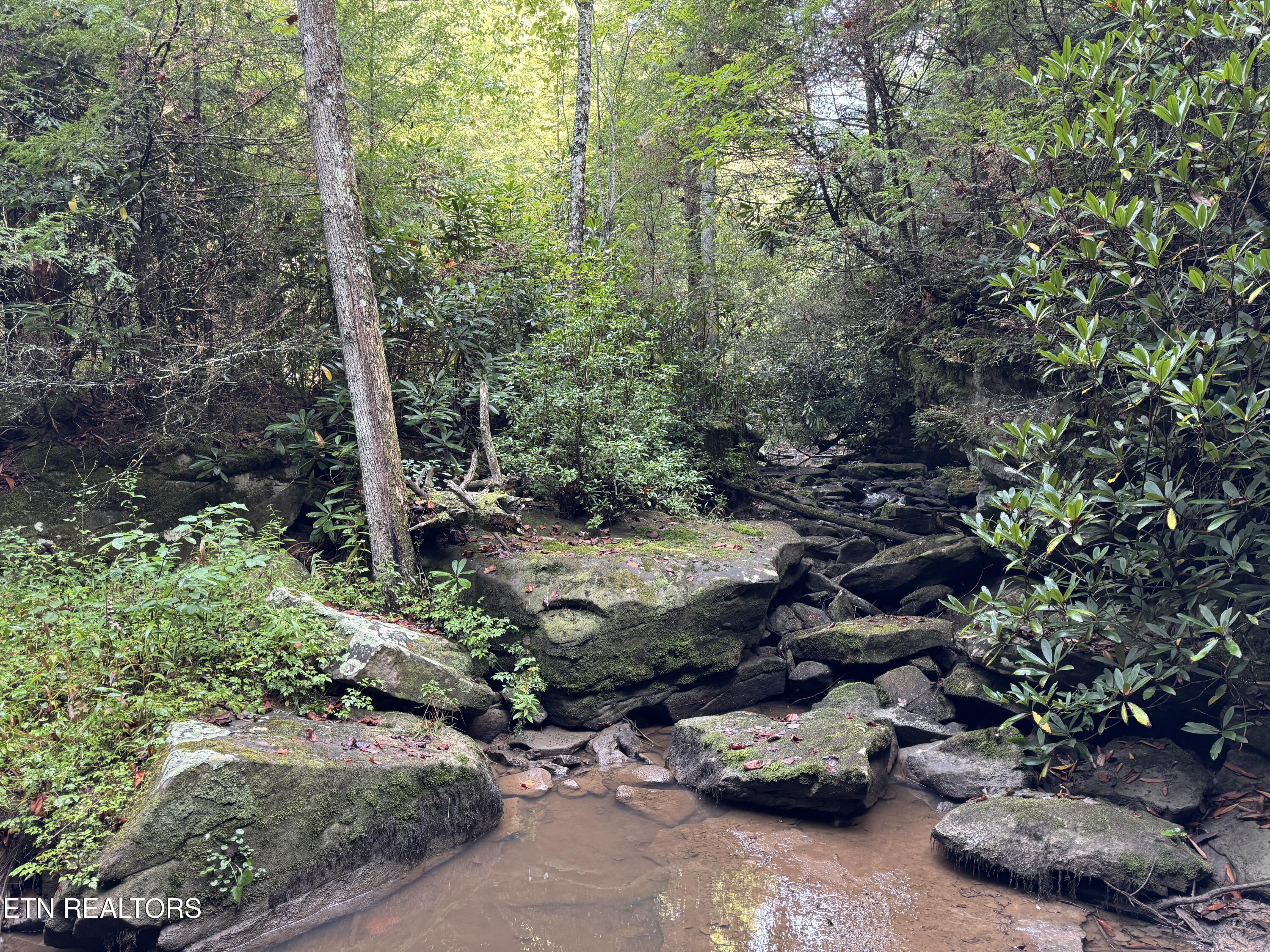 Davis Road Deer Lodge, TN 37726 - Photo 32 of 60 IMG_8585