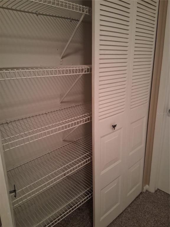6710 121st Avenue, Unit 10 Largo, FL 33773 - Photo 10 of 17 a close view of closet