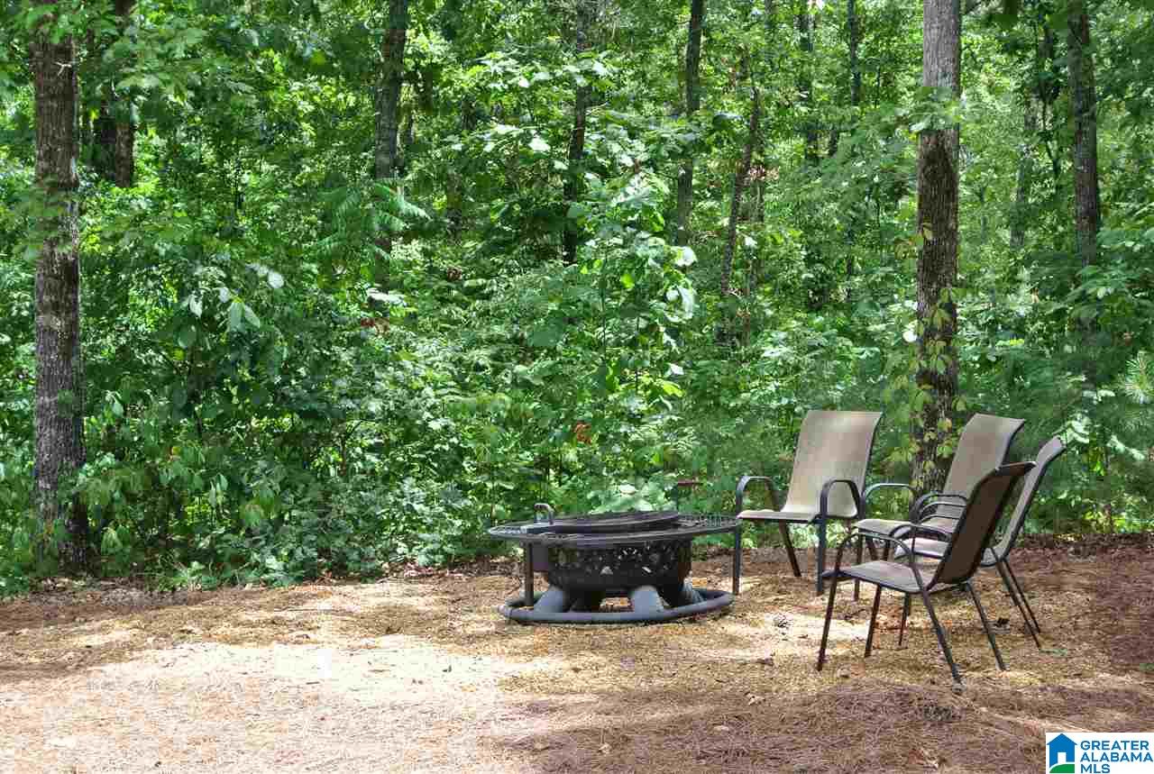 256 County Road 4315 Wedowee, AL 36278 - Photo 14 of 18
