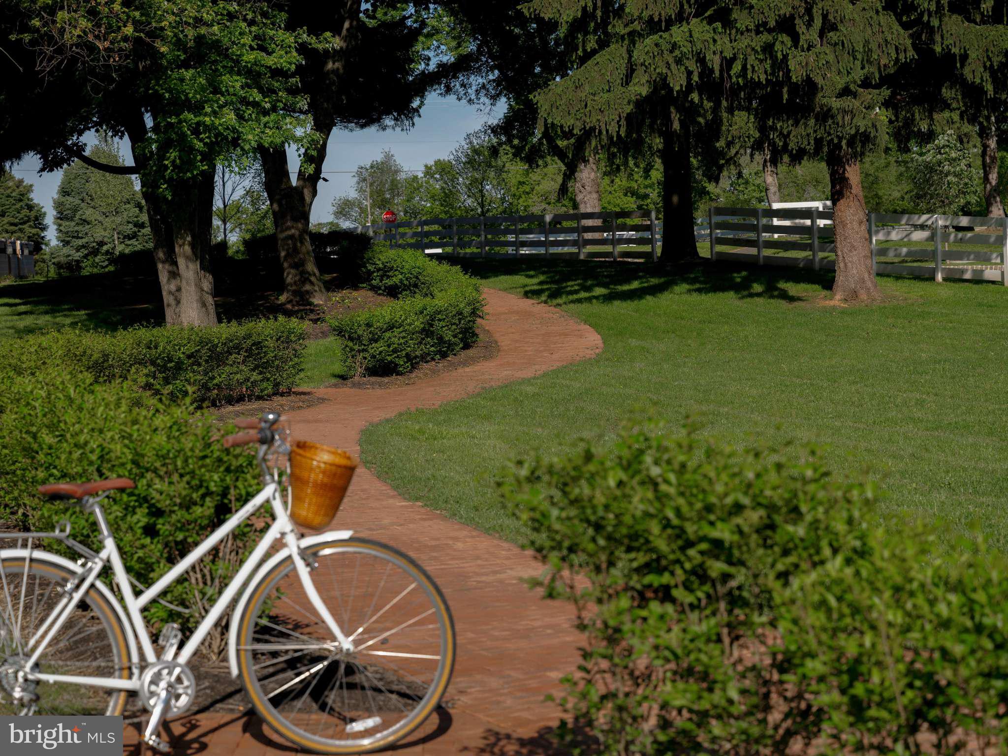 6 Sage Street Carlisle, PA 17015 - Photo 21 of 24 a view of a backyard with plants and a slide