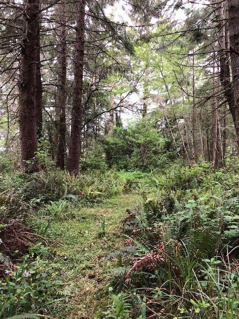 0 Splinter Lane Arcata, CA 95521 - Photo 9 of 15