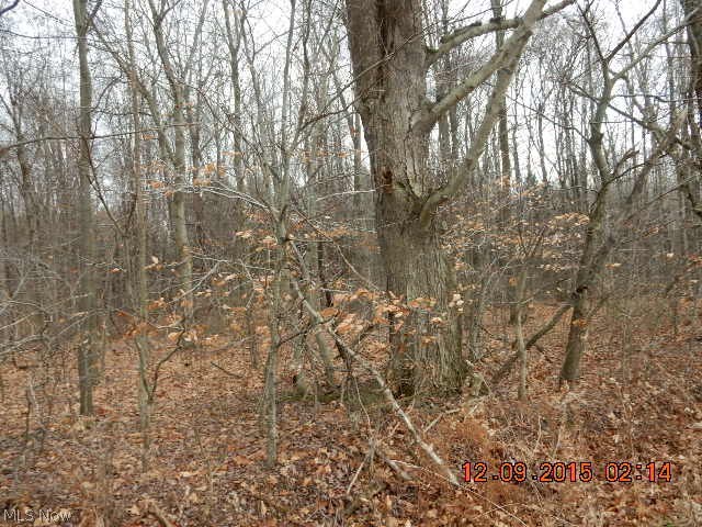 Creek Road Andover, OH 44003 - Photo 7 of 7 Gallery Image 7