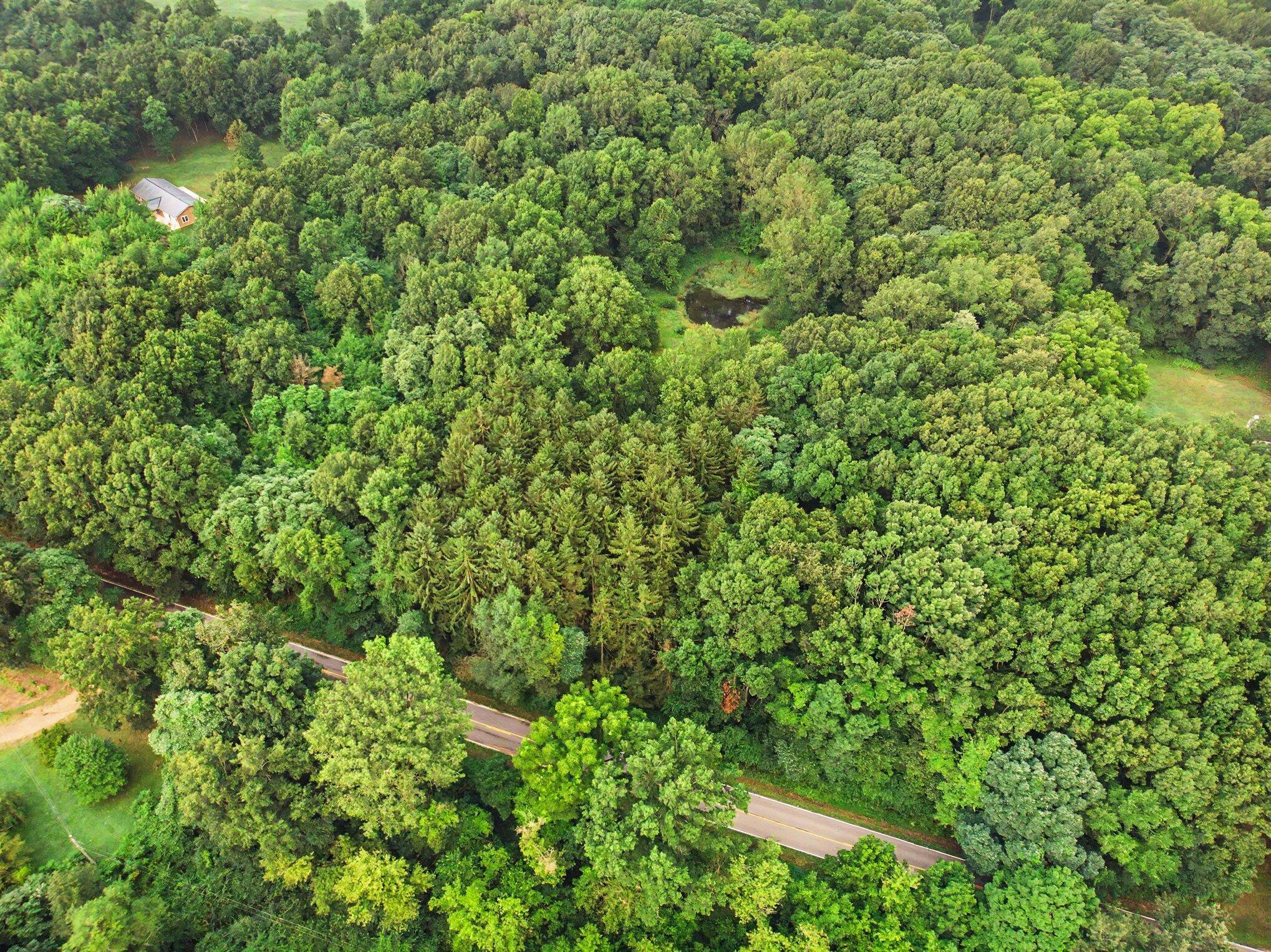0 Gumwood Road Niles, MI 49120 - Photo 10 of 18 dji_0951-3