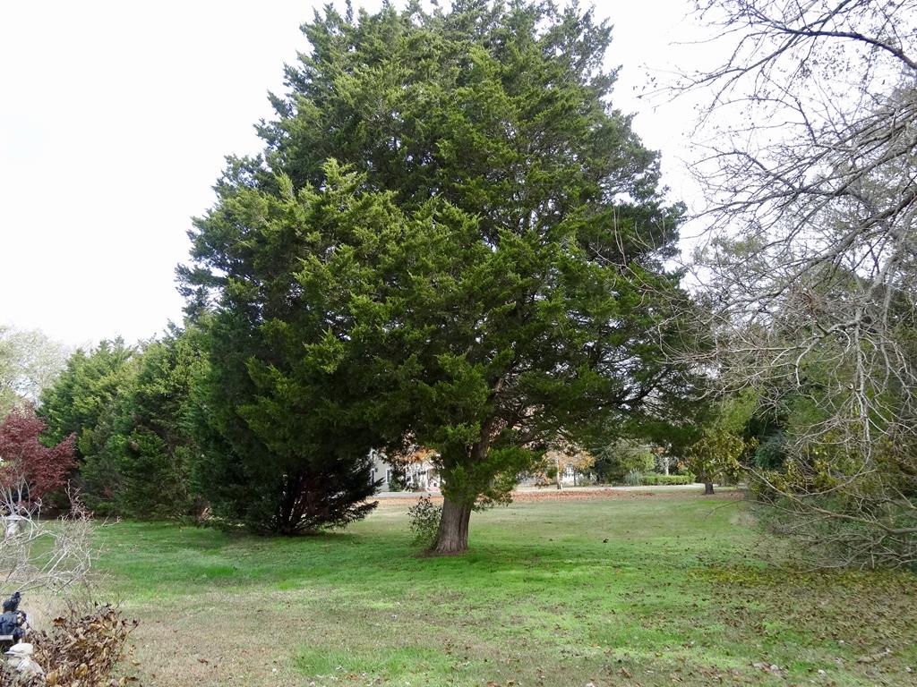 50 C Cemetery Road, Unit 50C Exmore, VA 23350 - Photo 4 of 8
