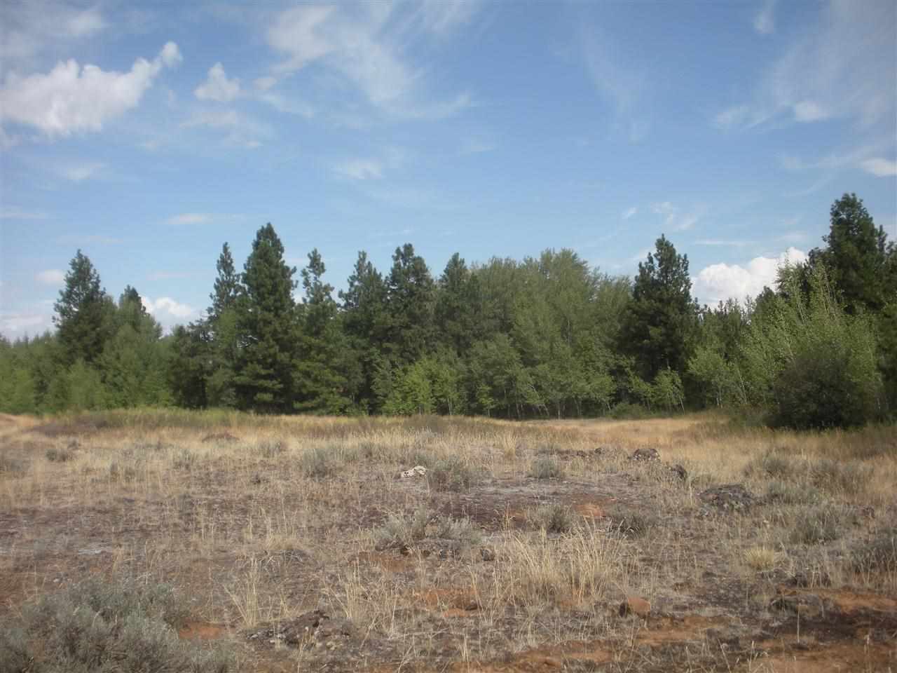 53200 Fancher Road East Edwall, WA 99008 - Photo 2 of 8