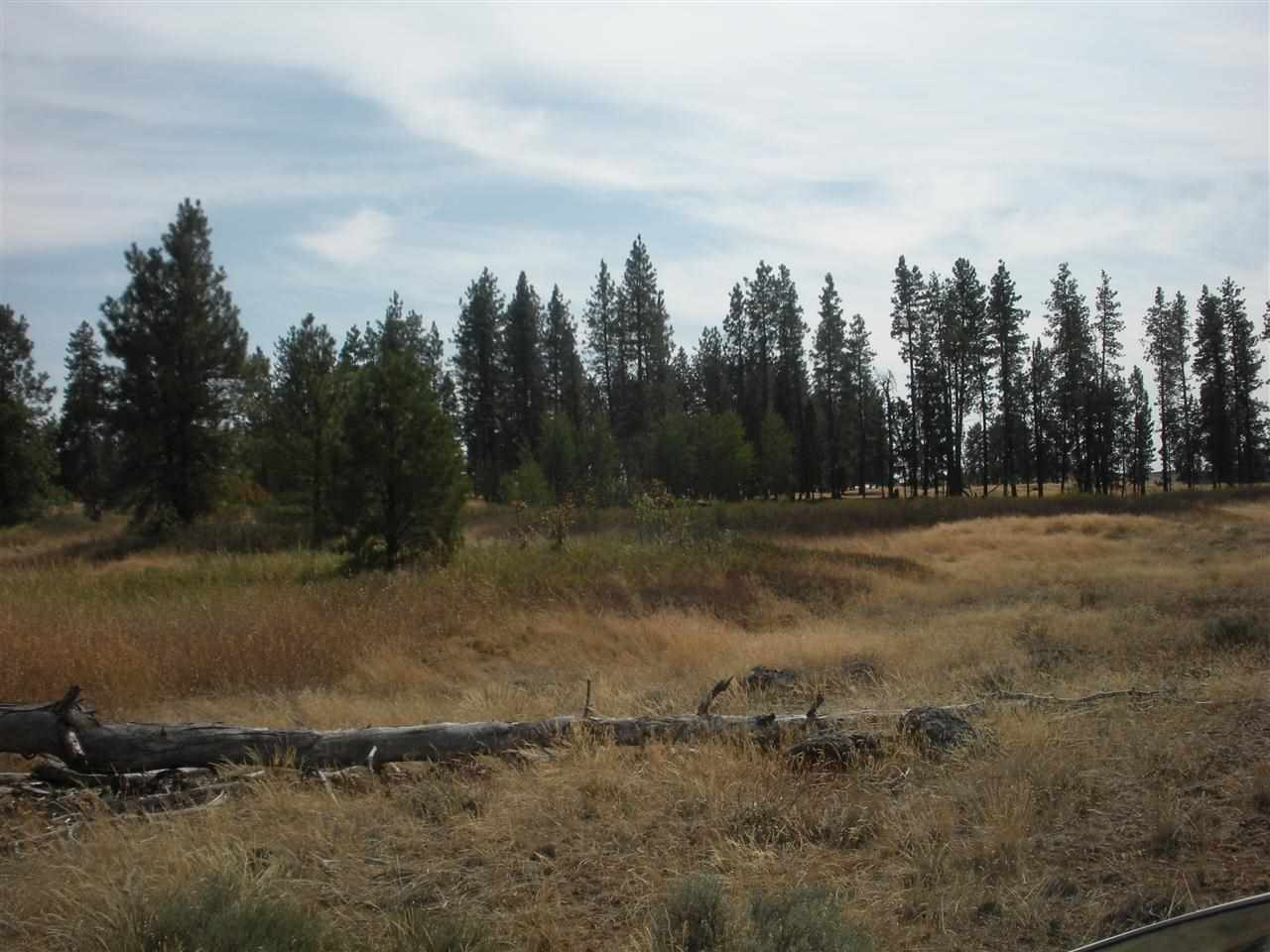 53200 Fancher Road East Edwall, WA 99008 - Photo 6 of 8