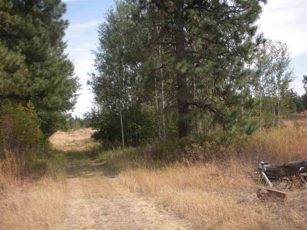 53200 Fancher Road East Edwall, WA 99008 - Photo 7 of 8