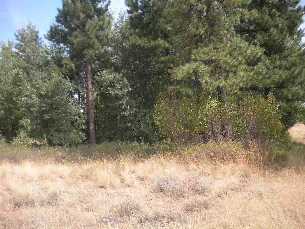 53200 Fancher Road East Edwall, WA 99008 - Photo 8 of 8