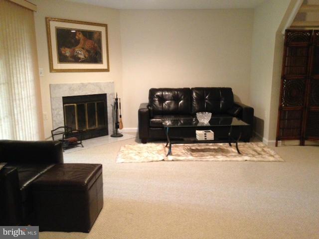11947 Sentinel Point Court Reston, VA 20191 - Photo 20 of 27 Basement
