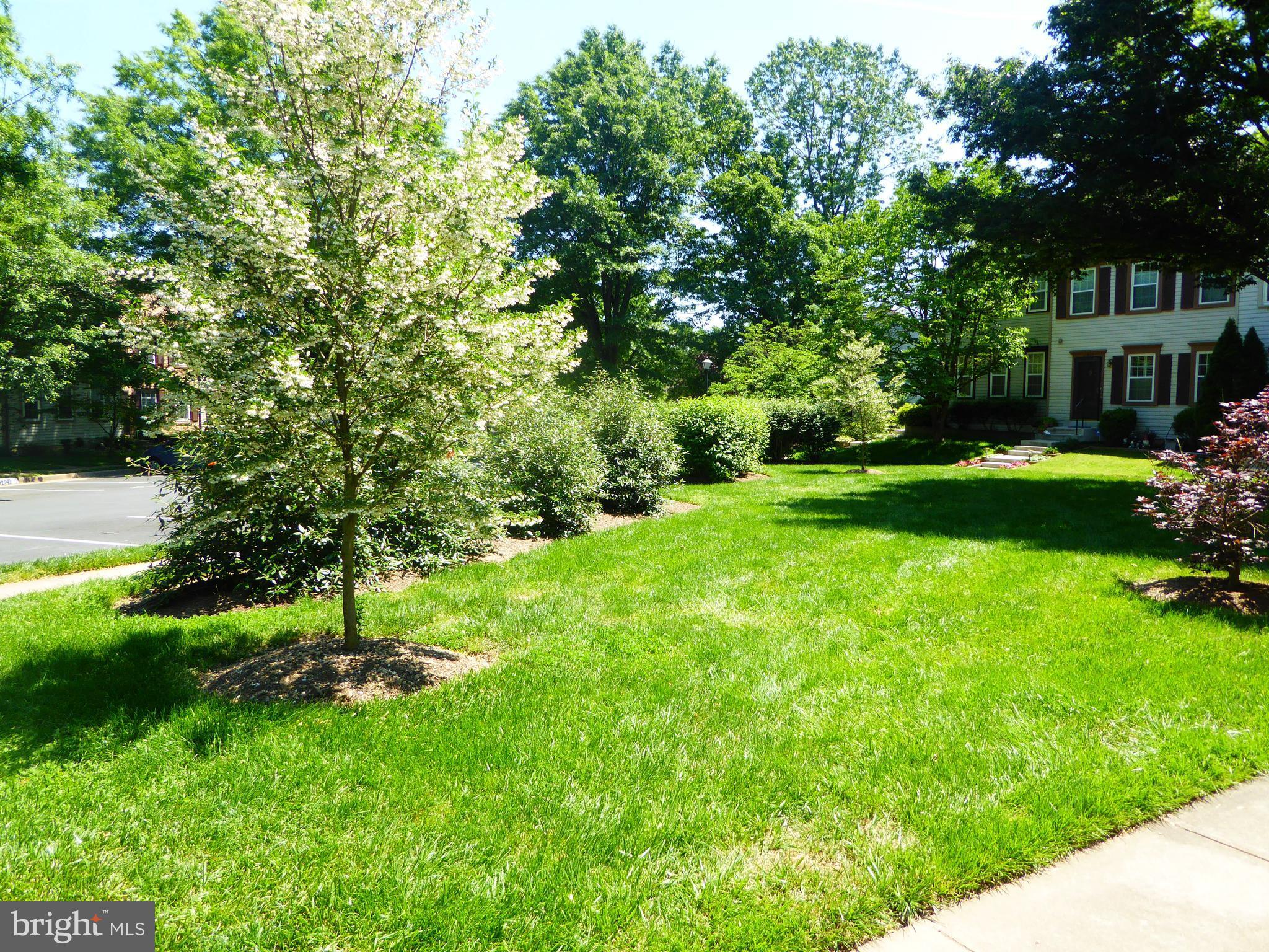11947 Sentinel Point Court Reston, VA 20191 - Photo 4 of 27 Landscaped Common Area and Front View