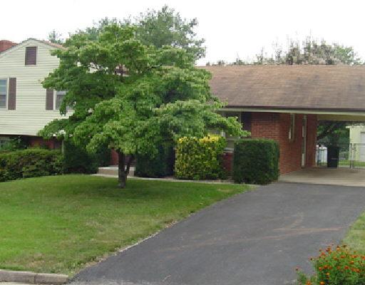 a view of a house with a garden