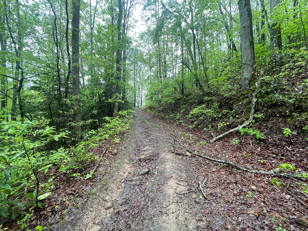 0 Ledford Road Bryson City, NC 28713 - Photo 2 of 8 Gallery Image 2