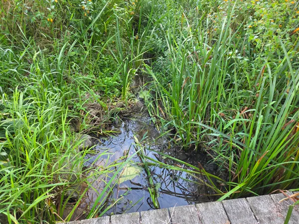 $75,000 | 420 East Church Street, Mishicot, WI 54228