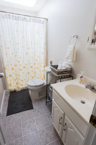 a bathroom with a sink and a toilet