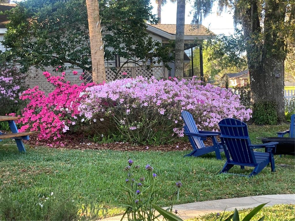 936 North Baker Street Mount Dora, FL 32757 - Photo 50 of 69