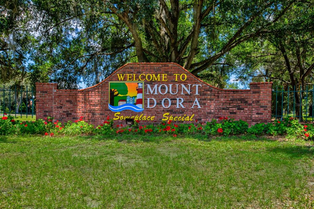 936 North Baker Street Mount Dora, FL 32757 - Photo 61 of 69