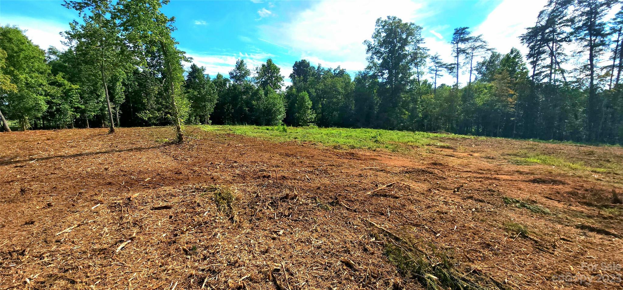 Lot 4 Poors Ford Road, Unit 4 Tryon, NC 28782 - Photo 8 of 19 a view of a yard with large trees