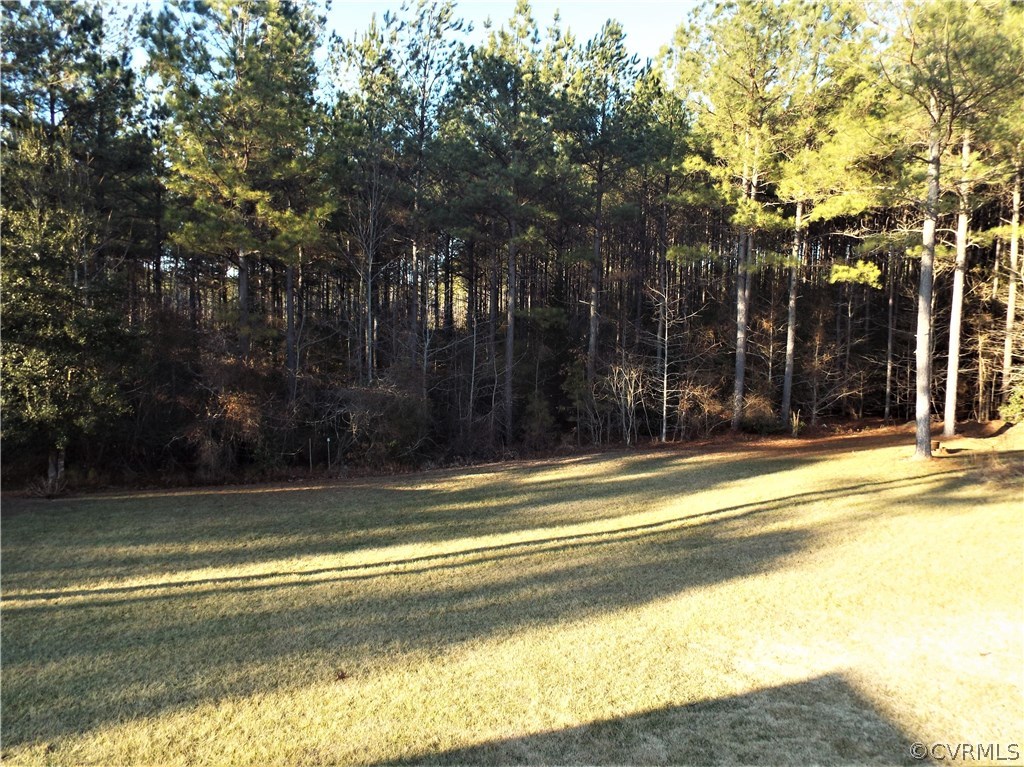 24007 Cabin Point Road Disputanta, VA 23842 - Photo 9 of 34 Gallery Image 9