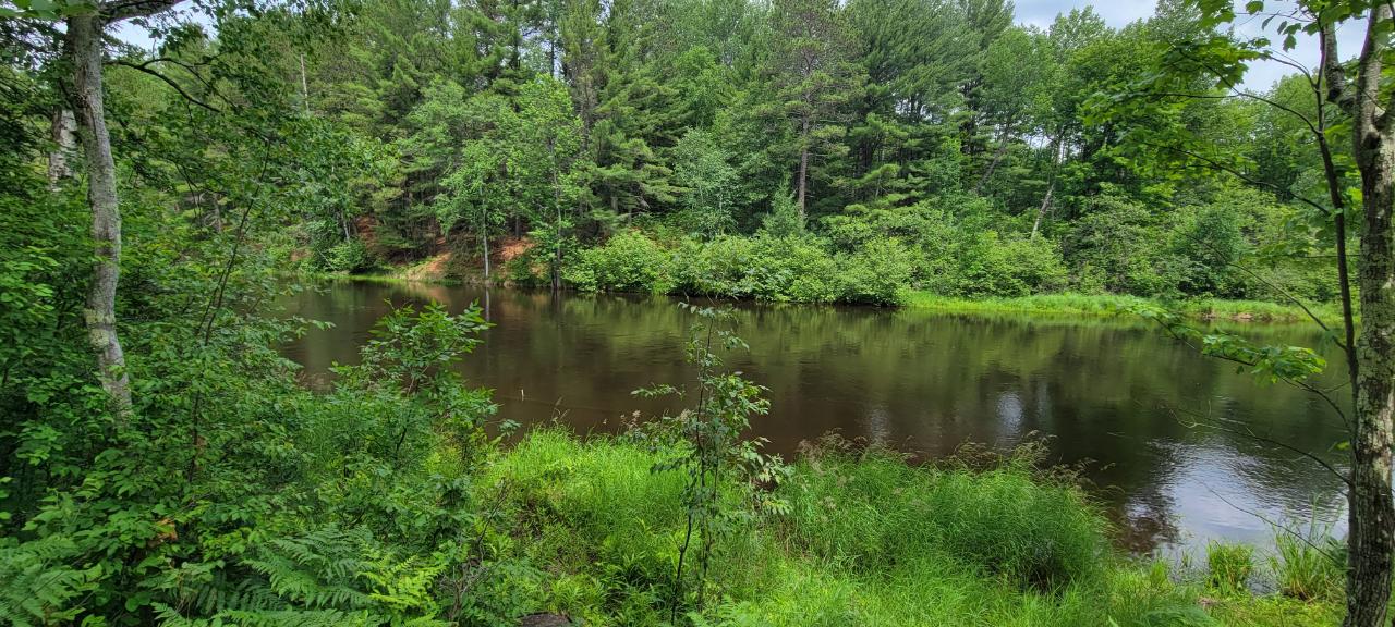 Lot Swamp Swamp Lake Road Tomahawk, WI 54487 - Photo 22 of 24 Gallery Image 22