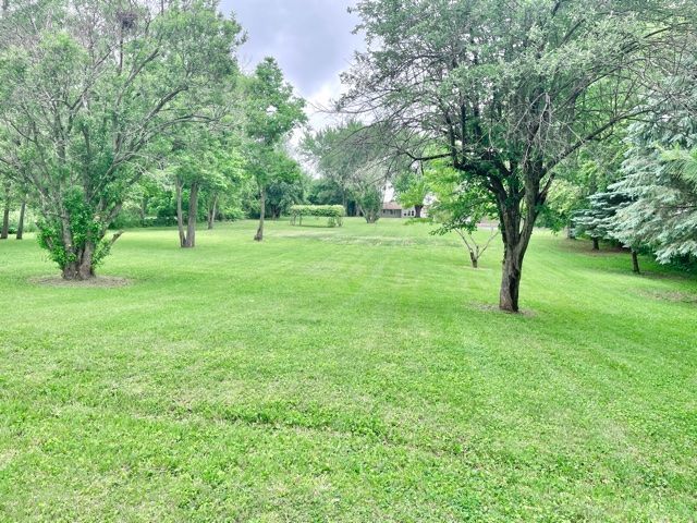 1028 Franklin Grove Road Dixon, IL 61021 - Photo 33 of 48 a view of a yard with a tree
