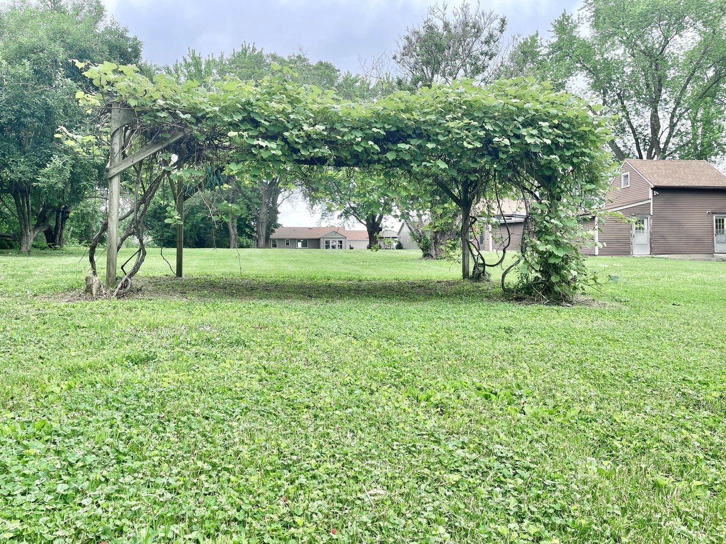 1028 Franklin Grove Road Dixon, IL 61021 - Photo 35 of 48 a view of yard with tree and a yard