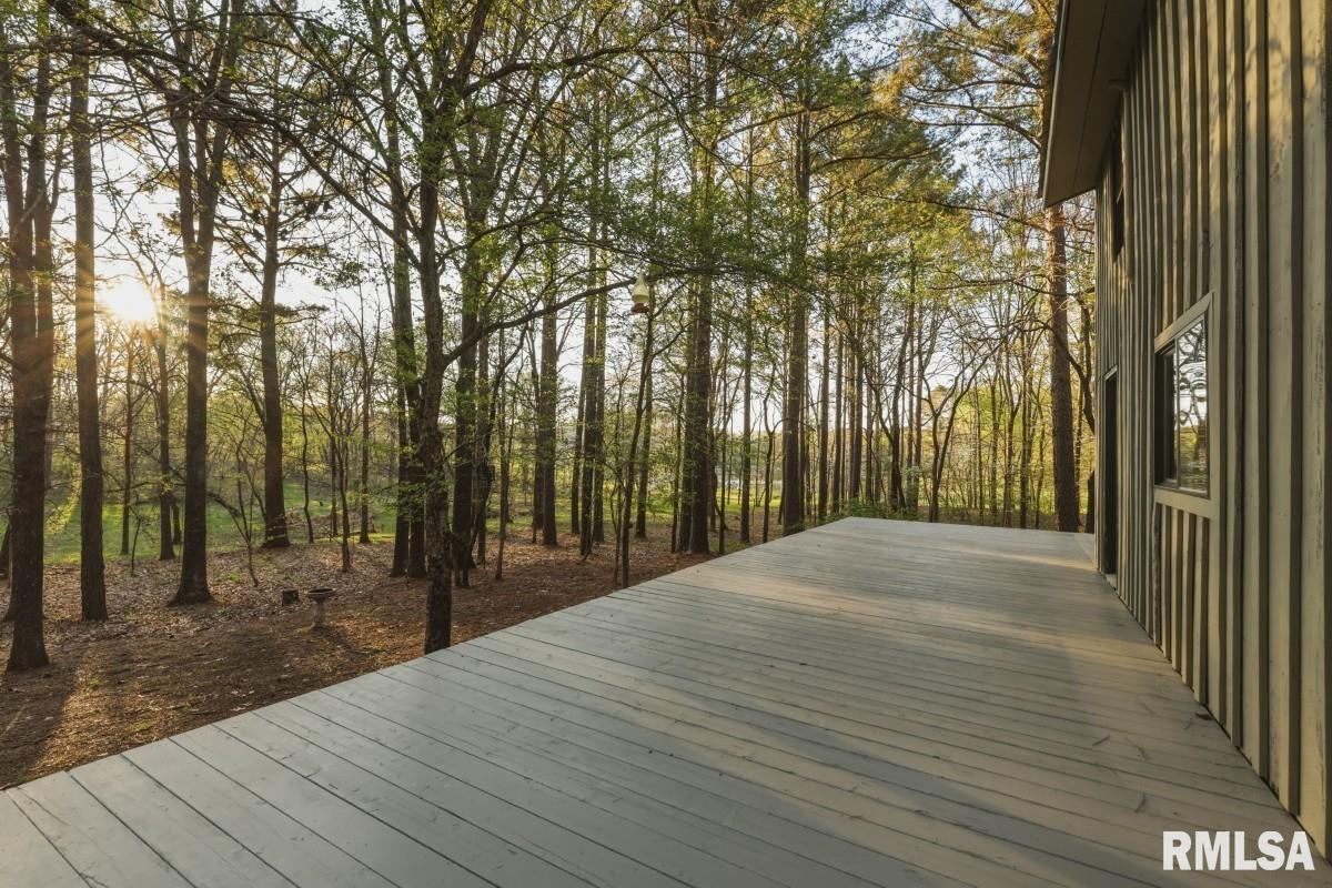 15247 Laminack Road Carterville, IL 62918 - Photo 44 of 57