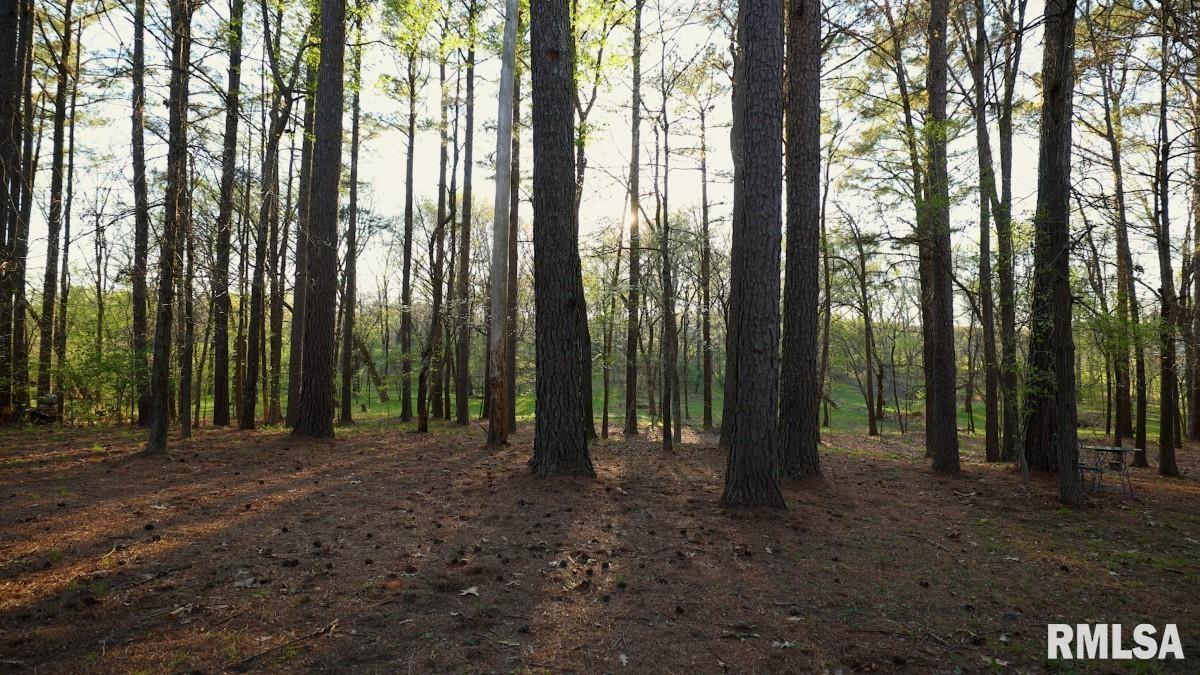 15247 Laminack Road Carterville, IL 62918 - Photo 47 of 57