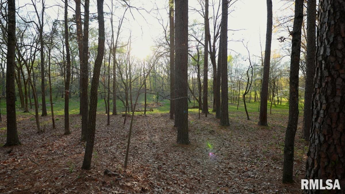 15247 Laminack Road Carterville, IL 62918 - Photo 48 of 57
