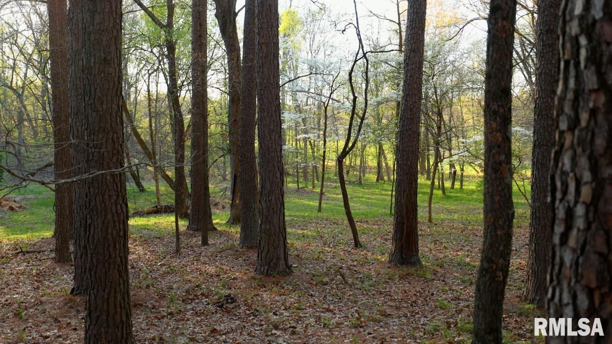 15247 Laminack Road Carterville, IL 62918 - Photo 49 of 57
