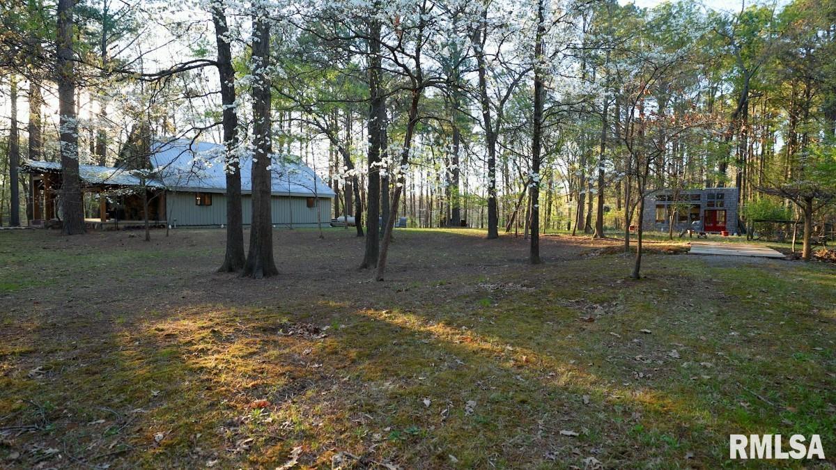 15247 Laminack Road Carterville, IL 62918 - Photo 50 of 57