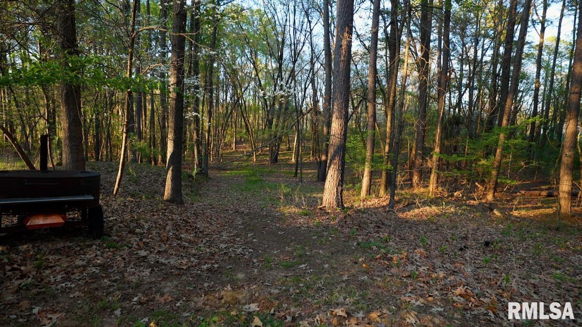 15247 Laminack Road Carterville, IL 62918 - Photo 52 of 57